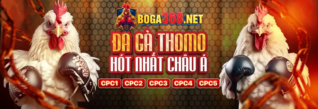 Khái niệm sumclup code trong thế giới iGaming